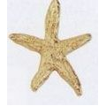 Stock Starfish Lapel Pin
